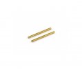 ROCHE 330106 P12 2mm Upper Hinge Pin, Titanium Coated, 2 pcs S30137