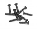 XRAY 906262 Screw Phillips FH 2.5x12  (10)